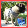 VibeVendor 『27Pets』Cat Dog Adjustable Harness Vest Walking Lead Leash For Puppy Dogs Collar Polyester Mesh Harness For Dog Cat Pet. 