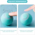 Gravitational Rolling Ball for cats & kittens. 