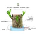Mini Brazil Wood Green Plant Pot. 