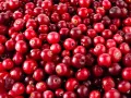 Dried Whole Cranberry 100% Natural healthy and delicious 100g Pack. 