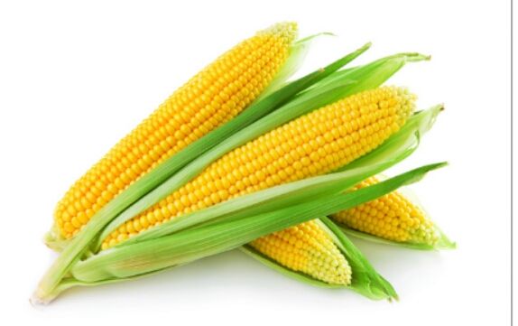 Bada%20Iringu/Corn%20Seeds%20For%20Home%20Garden%20-%20Image%204