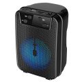 Bluetooth Rechargeable Speaker with FM Radio, TF Memory Card Read.er and USB Pen Drive and AUX. 