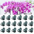 Durable Orchid Flower Support Plant Clips Vine Grafting Supplies Garden Tools Orchid Clips 6-Claw Plastic Butterfly Clamp Fruit Vegetable Stem. 