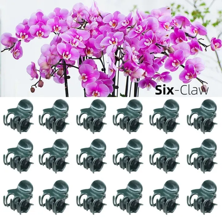 Durable%20Orchid%20Flower%20Support%20Plant%20Clips%20Vine%20Grafting%20Supplies%20Garden%20Tools%20Orchid%20Clips%206-Claw%20Plastic%20Butterfly%20Clamp%20Fruit%20Vegetable%20Stem%20-%20Image%206