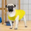 Summer Dog Clothes Sun Protection Cat Dog Streetwear T-shirt. 