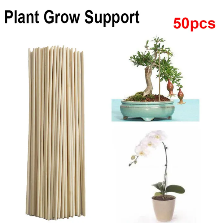50pcs Wooden Plant Grow Support Bamboo Plant Sticks for Flower Stick Cane Stand