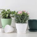 Plastic Planter Pots for Plants, 5 Pack 6 Inch Flower Pots with Drainage Holes and Saucers, for Indoor Outdoor D. 