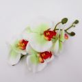 Cute Butterfly Orchid Orchid Flower Hairpin Hair Accessories Headdress Seaside Vacation Headwear Side Clip Bohemia Duckbill Clip Bridal. 