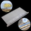 Multifunction 3 in 1 Bee Feeder Feed Power Water Honey Plastic Waterer Feeding Baffle Board PET Beekeeping Tool Supplies. 