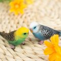 Simulation Parrot Miniature Landscape Ornament Parakeet Model Lawn Figurine Artificial Bird Home Decorative Figures Bird Decor. 