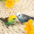 Simulation Animals Miniature Landscape Ornament Parrot Dog Cat Sea Turtle Model Fairy Garden Lawn Figurine Animal Decor Crafts. 