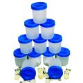 350ml Kitchen Storage Bottle 12 Pcs / Kitchen Containers Beautiful Colours. 