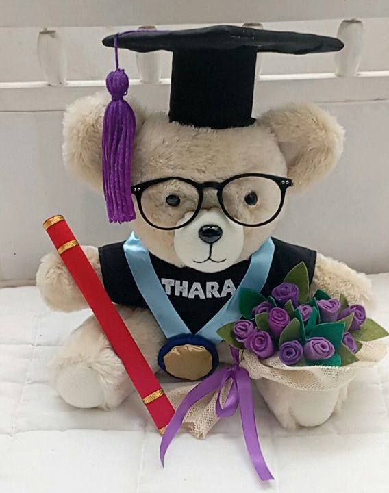 Graduation teddy bear/Personalized Graduation Teddy Bear
