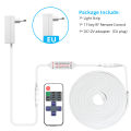 NEW Soft Flexible LED Strip Lights 12V Neon Rope Lights Waterproof Dimmable Lamp Tape RF Remoter Home Living Room Wedding Decor Gift. 