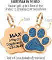 Custom Gold Pet ID Tags Sparkly Paw Shape Personalized Shiny Dog Glitter Silent Cute Doggy for Puppies Laser Engraved Name. 