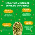 Nuttymo Pumpkin Seeds (500g). 
