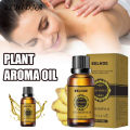 10ml Aromatherapy Oil Water-soluble Easy-using Compact Ginger Plant Aroma Essential Oil for Personal Use. 