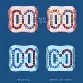 Educational Toys Decompression Rotating Magic Bean Toys/Fingertip Cube Children's Finger Gyro Magic Disk Educational Cube Toy. 