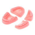 【GlowBound】4pcs Dental Hospital Simulation Oral Suture Model Gum Suture Teaching Training Equipment Medical Students Suture. 