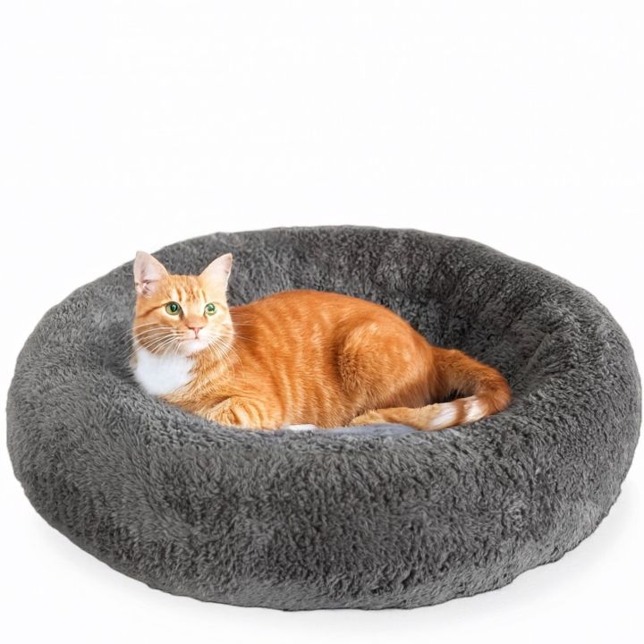 Pet%20bed%20Cat%20and%20Dog%20bed-%20cozy%20bed%20for%20your%20furry%20friend%20from%20sizes%20small%20to%20XXL%20-%20Image%204