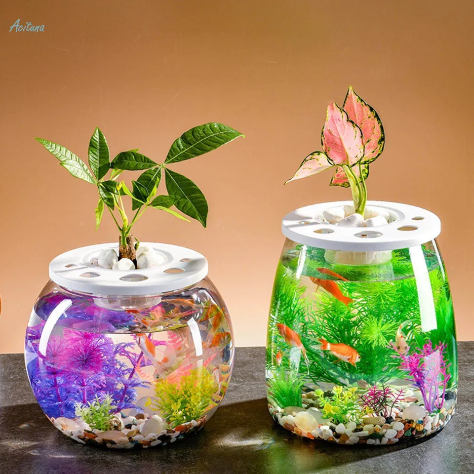 Fish Bowl Decorative Table Centerpiece Fish Tank for Hotel Dorm