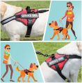 Medium Adjustable Dog Harness Padded Reflector Pets Durable Nylon Vest Harness Traction Training Rope Dog Belt Dog Chain Dog Body Belt Dog Chest Belt Step-in Harness Strap Metal Buckle Plastic Clasp Dog Collar Dog Strap Dogs Belt Saddle Harness Dogs Sell. 