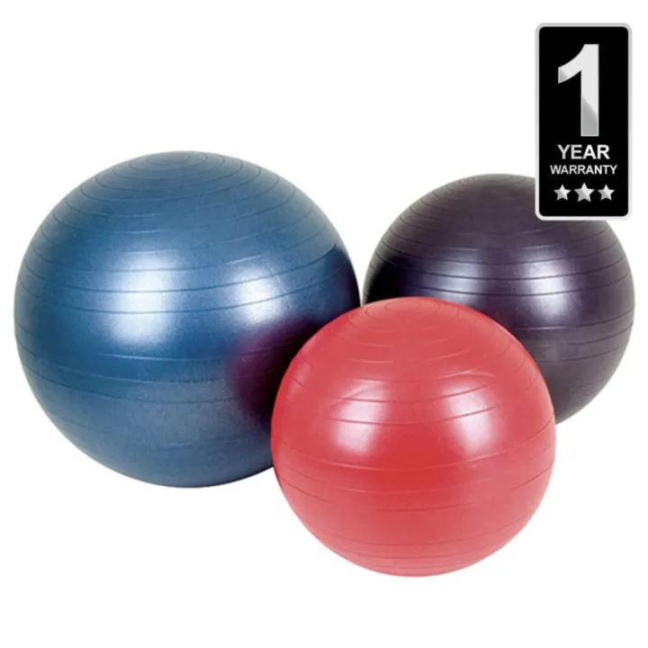 75cm%20Gym%20Ball%20%20-%20Multicolor%20-%20Image%203