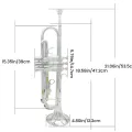 Trumpet Brass Instrument Standard Brass Trumpet Set Professional Key Brass Trumpet (Silver). 