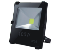 Green Electric 100W LED Flood Light. 