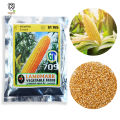 Corn GT709 Seeds BadaIrugu Beeja 25g Home Gardening Agriculture. 