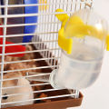 Hamster Water Fountain Reliable Hamster Water Fountain Drinking Bowl. 