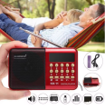 Joc Bluetooth FM Radio, Rechargeable, MP3/USB/TF Card, LED Screen, Portable Speaker with Antenna. 