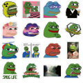 20/40/60 pcs of PEPE the frog stickers Meme stickers Funny stickers. 