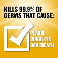 Listerine Mouthwash Oral Care  to Kill 99.9% of Germs That Cause Bad Breath 500ml 250ml. 