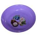 Plastic Dinner Plate For Food Table. 