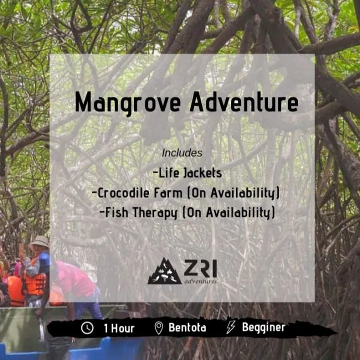 Bentota - Mangrove Adventure - Per Person (Min 4 Pax)