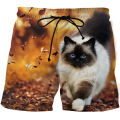 Animal cat 3D print Board Shorts Trunks Summer New Quick Dry Beach Swiming Shorts Men Hip Hop Short Pants Beach clothes. 