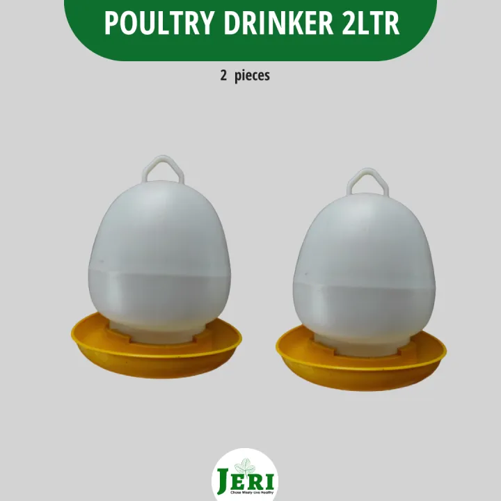 Poultry Drinker-2ltr Chick Drinker Plastic  Drinker Quail Pigeon Birds Small Poultry
