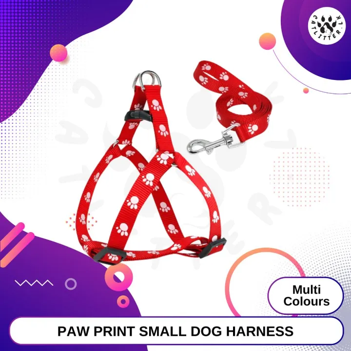 PAW PRINT SMALL DOG HARNESS