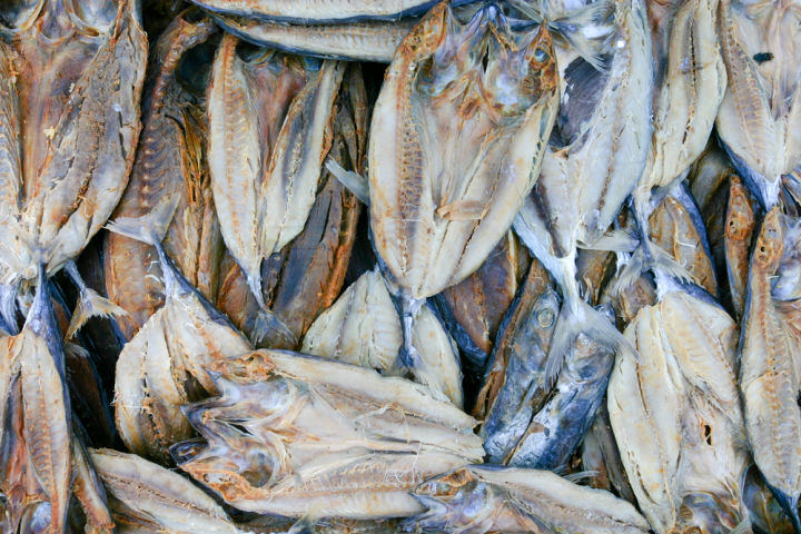 Premium%20Dried%20Tuna%20Fish%20Multipack%20-%20Low%20Fat,%20Healthy%20Snack%20Option%20-%20Image%204