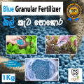 Blue Granular Fertilizer Grouting Formula 1kg Nil keta pohora. 
