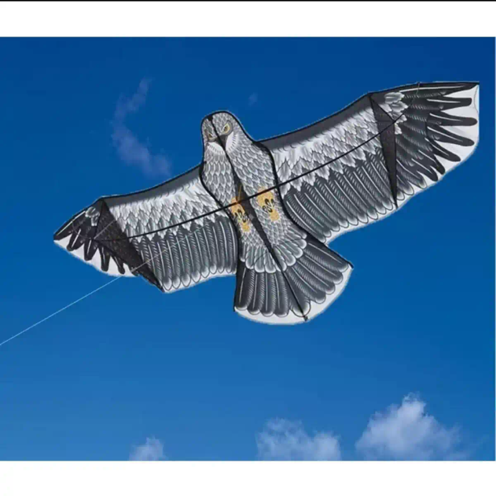 Rainbow%20Kite%20/%20Kite%20Toys%20for%20Outdoor%20-%20Image%209