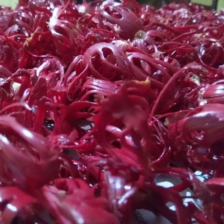 Nutmeg Mace Daraz Lk Buy Online At Best Prices In Srilanka Daraz Lk