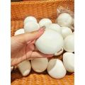 Toys Slow Rise Toy Rebound White Steamed Bun Milky New Product [Listing] Slow Pinch Stress Relief Squishy. 