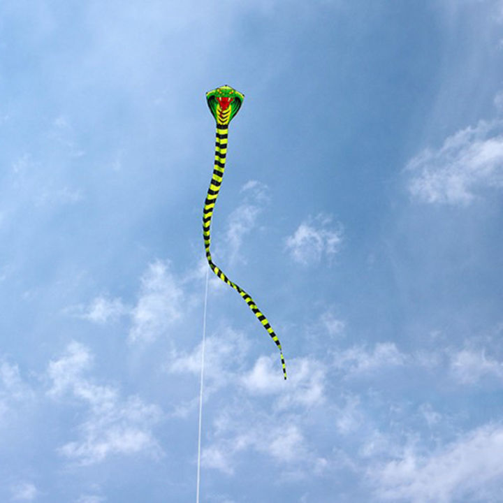 large%20snake%20kite%20cobra%20kite%20with%20handle%20line%20outdoor%20toys%20for%20adult%20bird%20kite%20-%20Image%206