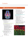 Cognitive Neuroscience The Biology of the Mind th. 