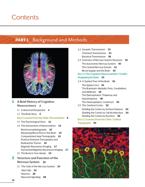 Cognitive%20Neuroscience%20The%20Biology%20of%20the%20Mind%20th%20-%20Image%203