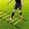 Sports Speed Agility Training Set 10 Disc Cones and Agility Ladder. 