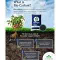Bio Carbon Organic Compost Granular Fertilizer. 