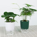 1Pc Plant Pot Self Watering Clear Plastic Flowerpot Double-Layer Water Storage Automatic Water Absorption Potted Flowerpot. 